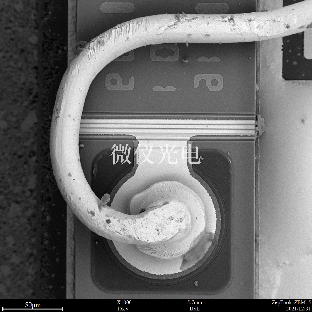 掃描電鏡有沒有什么局限性？