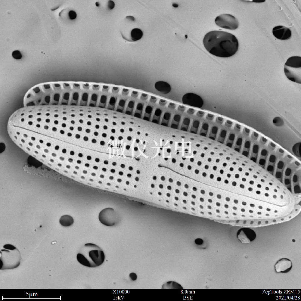 sem臺(tái)式掃描電鏡在司法鑒定行業(yè)的應(yīng)用是這樣的，你之前了解嗎？