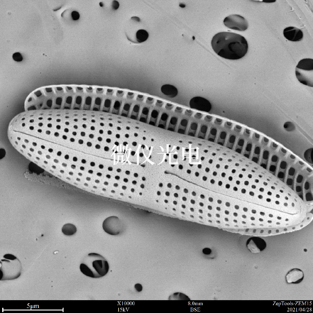 掃描電子顯微鏡的類型有這些你之前了解過嗎？